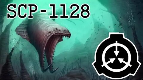 1128