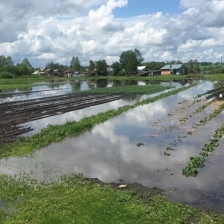 Подтопило низководные мосты Тульской области. Ливни в Тульской области. Мостовая после дождя. Бетонный мост Иваньково Тульская область затопленный.