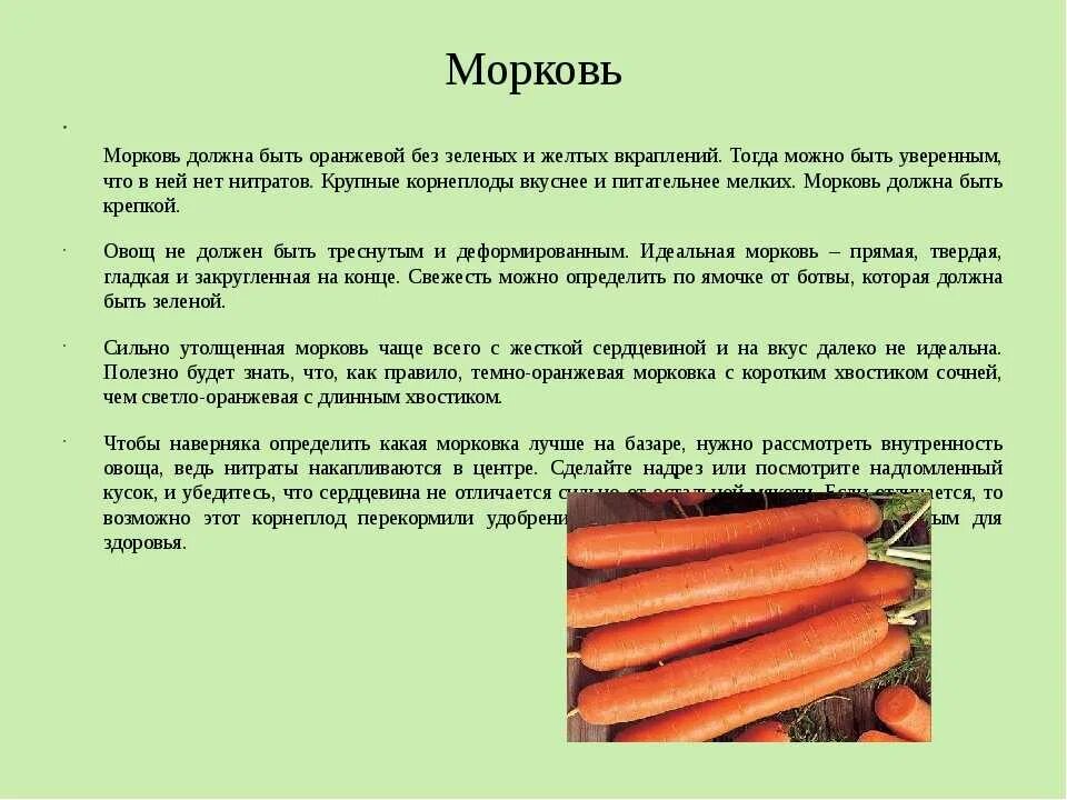 Морковка полезная для похудения. Можно ли морковку есть каждый день. Сколько можно есть морковки в день. Что будет если кушать морковку.