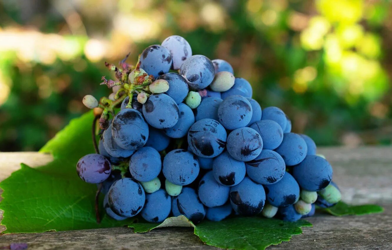 Виноград маленькие ягоды. Синий виноград. Фиолетовый виноград. Синие ягоды. Голубой фрукт.