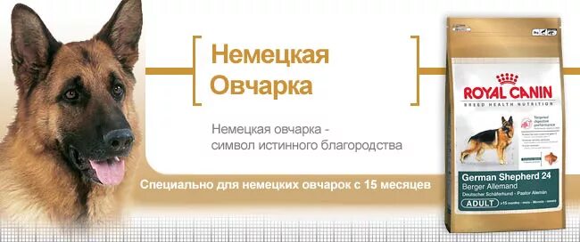 Корм Проплан для немецких овчарок. Корм для немецкой овчарки 2 год. Чем кормить щенков овчарки в 1 месяц щенка немецкой. Рацион овчарки 1.5 месяца.