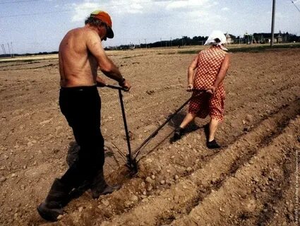 Можно ли пахать