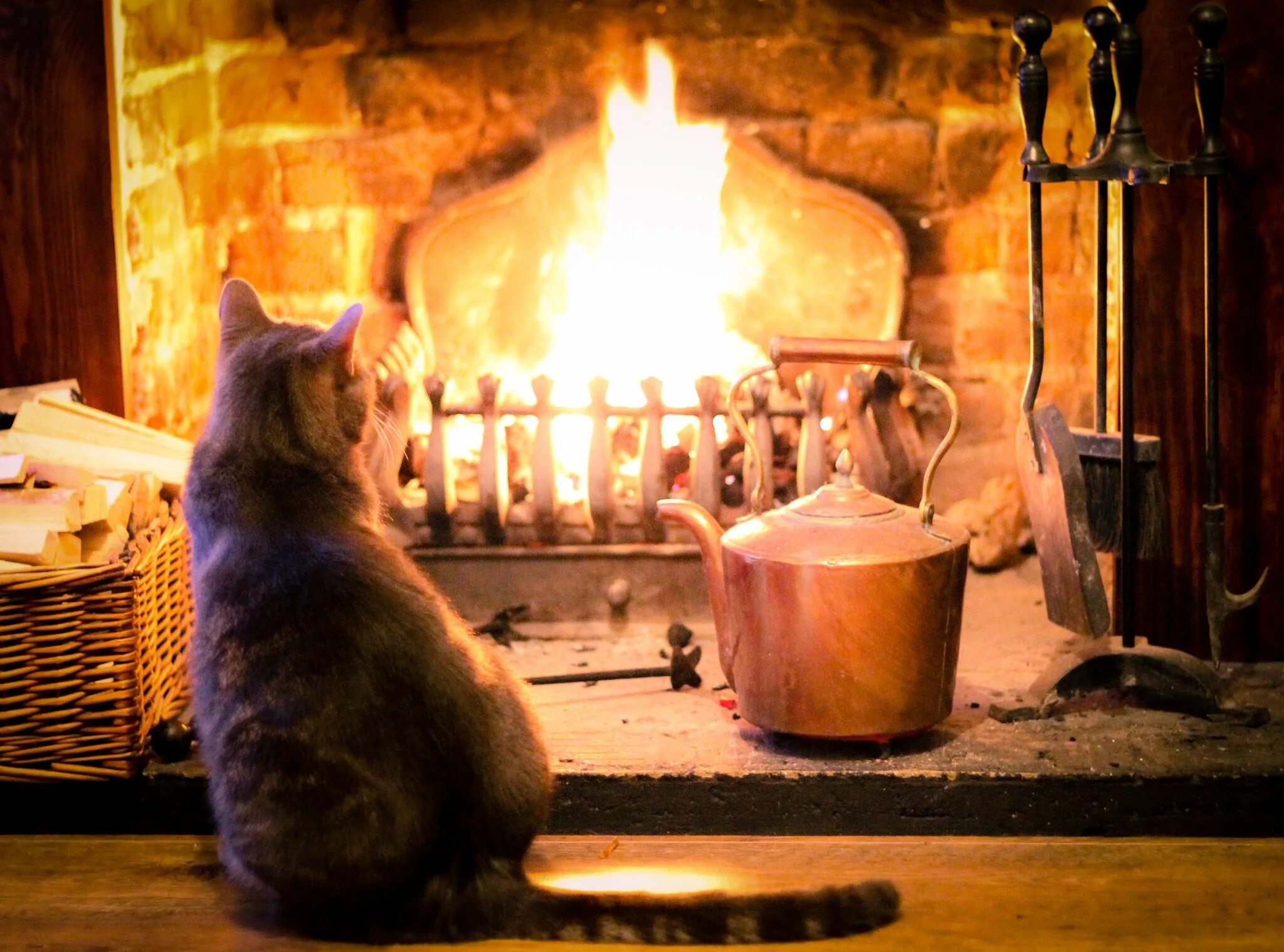 Посидим уютно. Котик у камина. уютного вечера. уют камин кот. уютный камин.