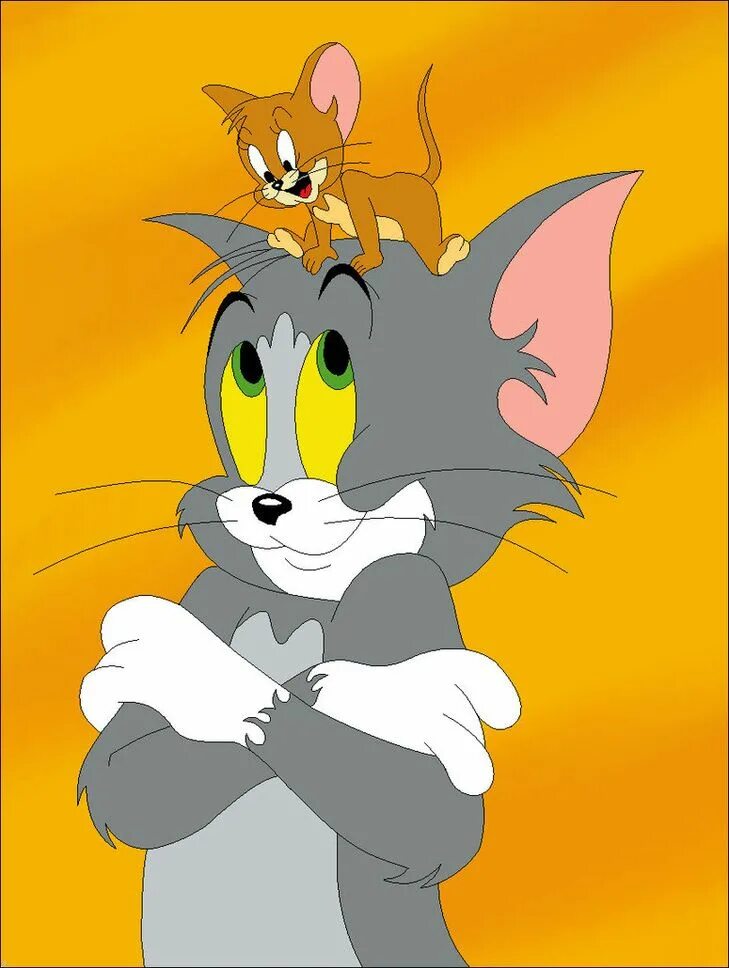 Tom funny. Tom and Jerry. Том и Джерри Джерри. Голова Тома и Джерри.