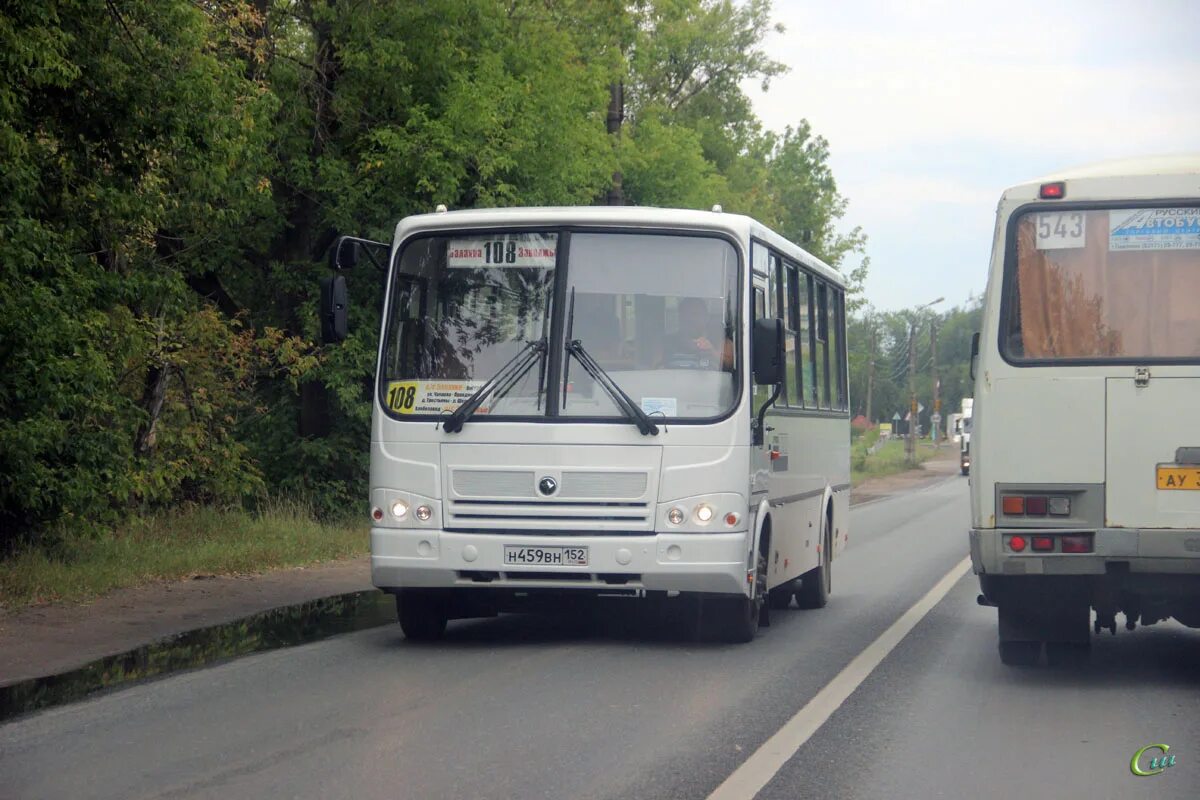 Расписание автобусов балахна 203 сегодня. Автобусы Балахна ИП Гаголкин. 108 Автобус Балахна. ПАЗ Балахна. 203 Автобус Балахна.