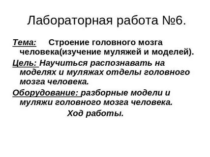 Практическая работа изучение строения головного мозга человека