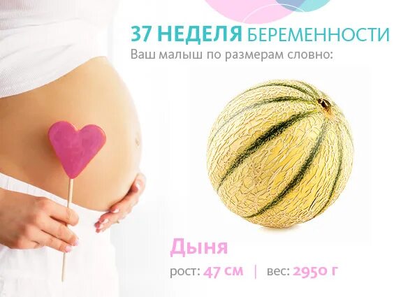 Скоро 37 неделя беременности. Размер ребенка на 37 неделе беременности. фруктовые недельки беременности. 37 неделя беременности фрукт. вес плода на 37 неделе беременности.