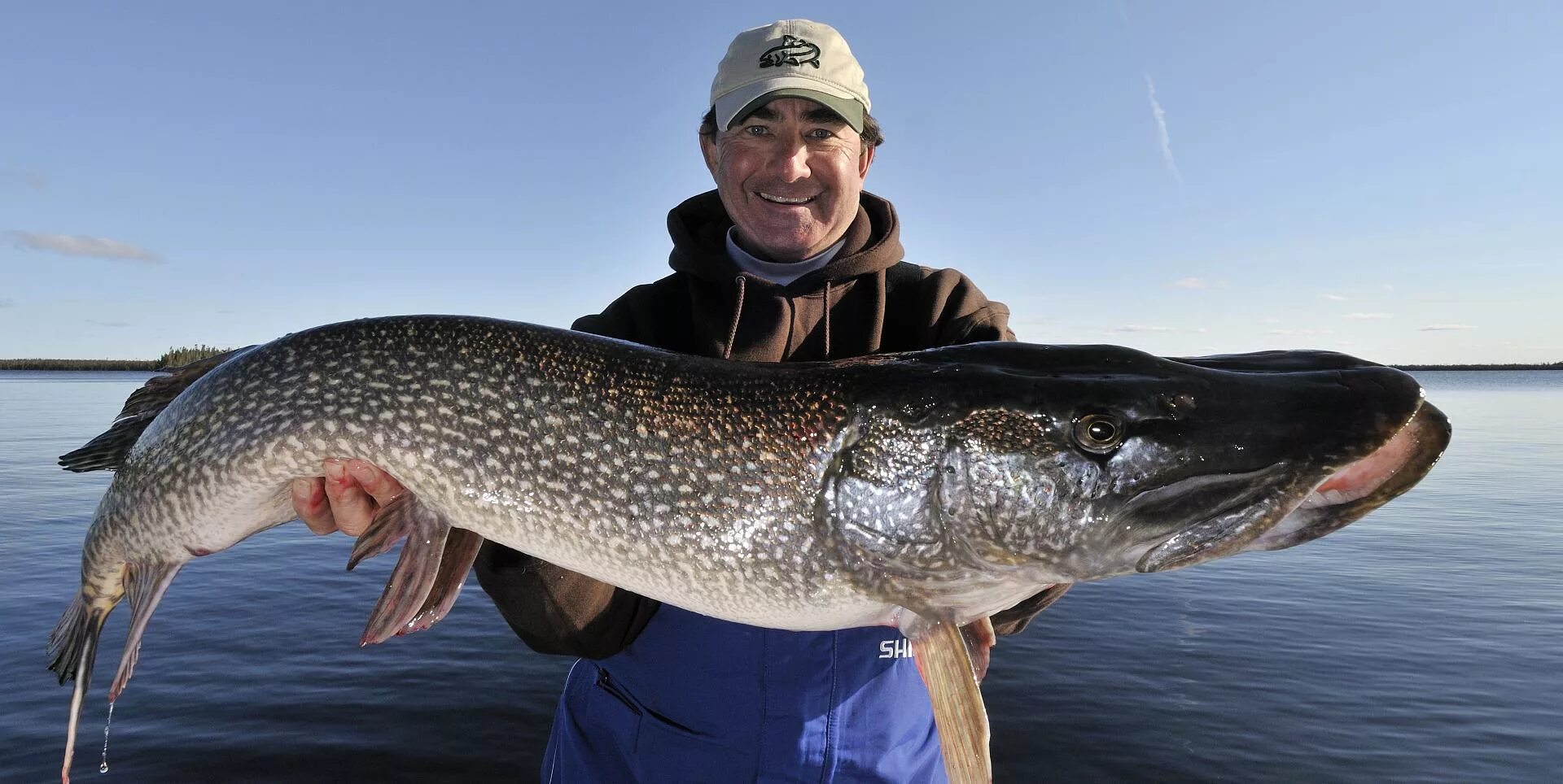 Сон большая щука. Щука Миссисипи. Northern Pike рыба. Чёрная щука. Огромная щука.