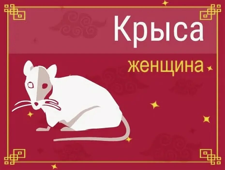 Зодиак крыса характеристика. Крыски и знаки зодиака. Рак в год крысы женщина. Рак. Год быка.