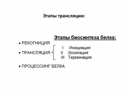 Последовательность трансляции