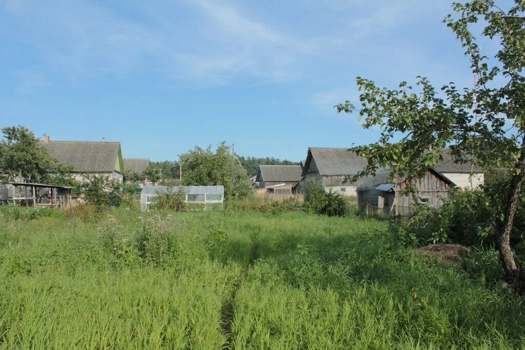 Деревня самолва псковская. Деревня самолва псковская