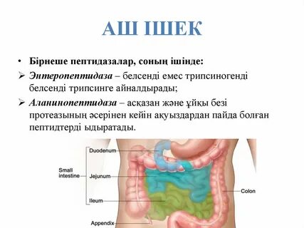 Корей порно: қарт пен келін