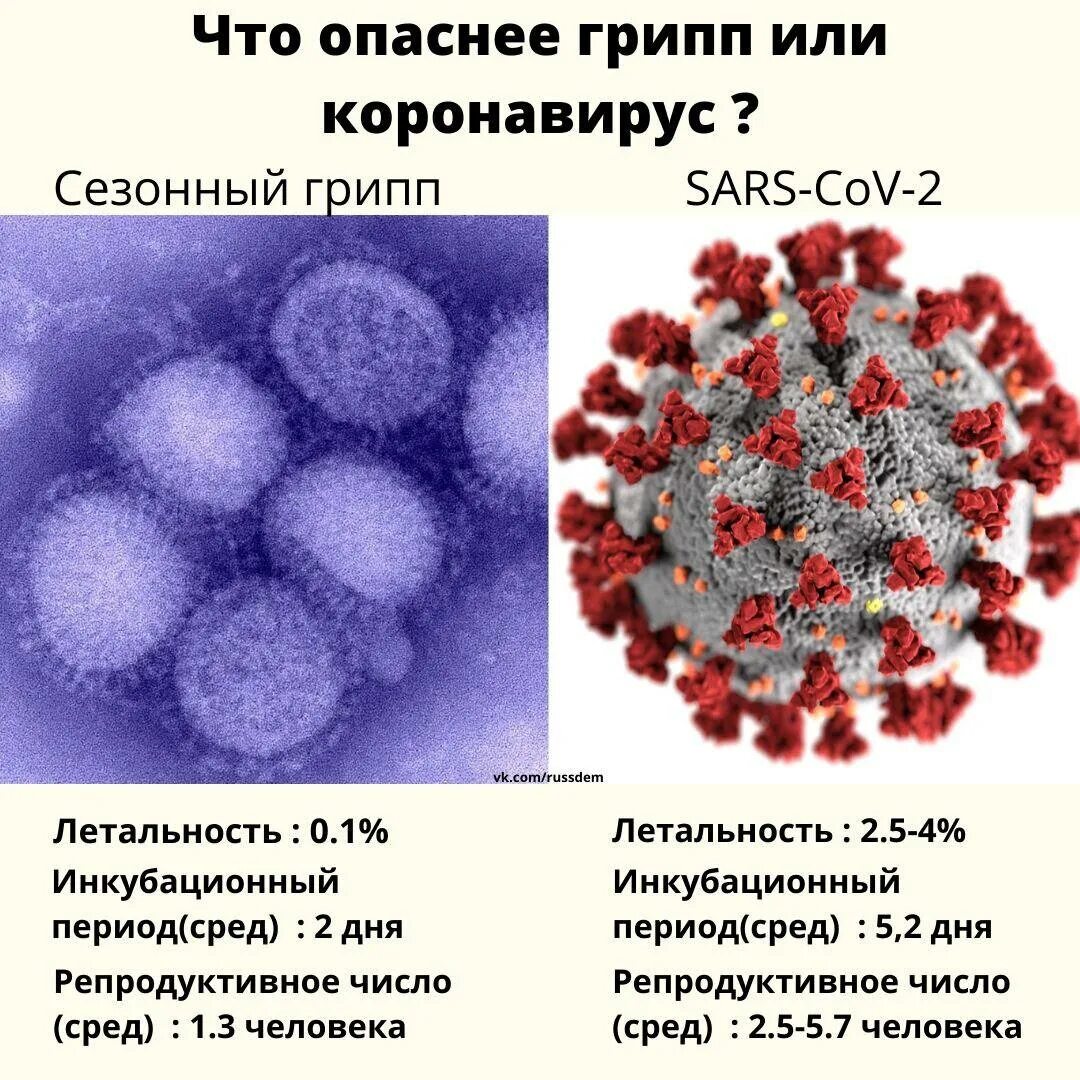 Насколько вирус. Вирус гриппа и коронавирус отличие. Вирусные заболевания коронавирус. Грипп и коронавирус. Штаммы вируса гриппа.