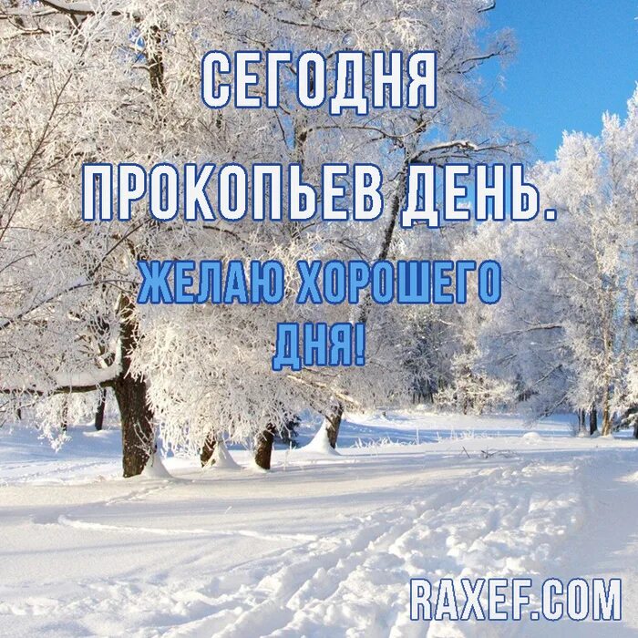 Прокопьев день. Прокопьев день открытки. Прокопьев день 21 июля картинки. Прокопьев день когда. День 5 декабря 2023