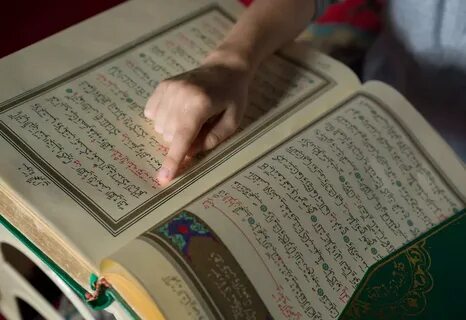 yeşil kuranı kerim: Yandex Görsel'de 928 görsel bulundu