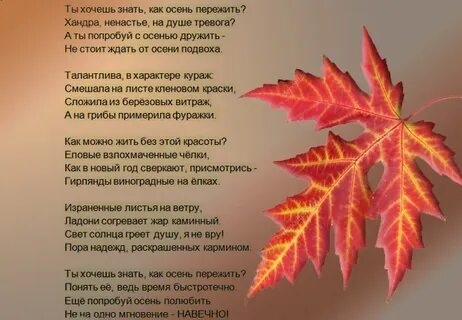 Листья клена стихи