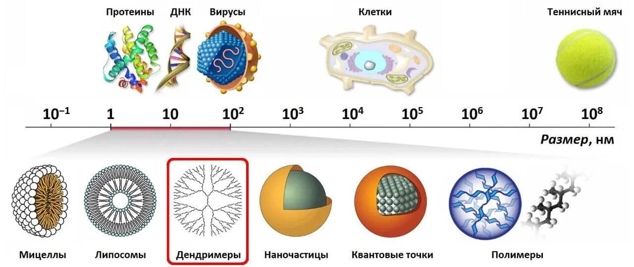 Объект имеющий наноразмер
