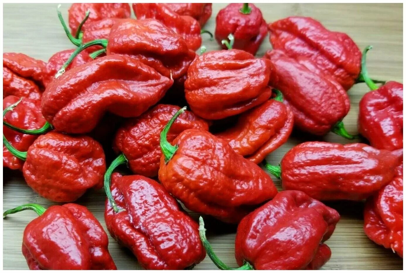 острый перец чили. 5 букв ку. шифр темница для квеста. сканворды с ответами. кроссворд по наречию.