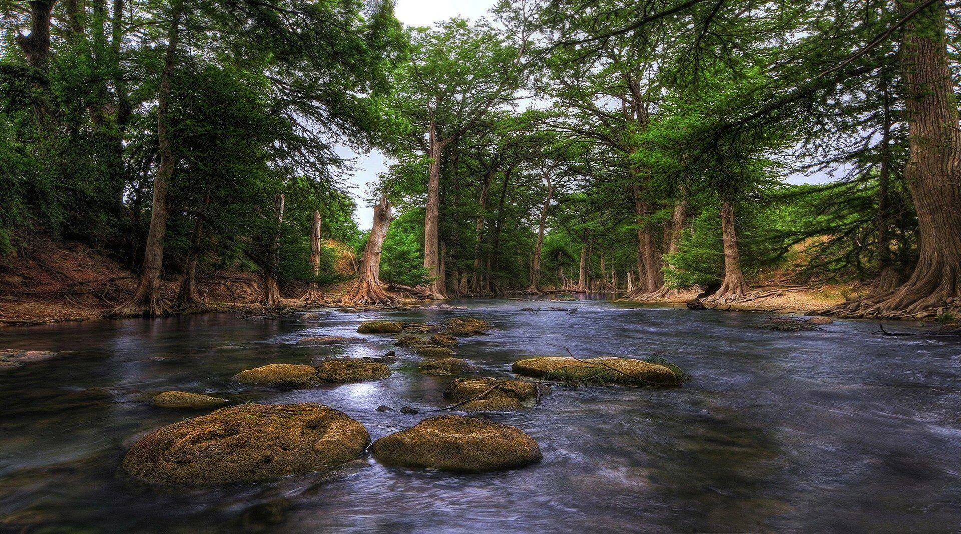 Штат Техас природа. Озеро Джейкоба Техас. Штат Техас леса. Техас природа фото. The country many rivers