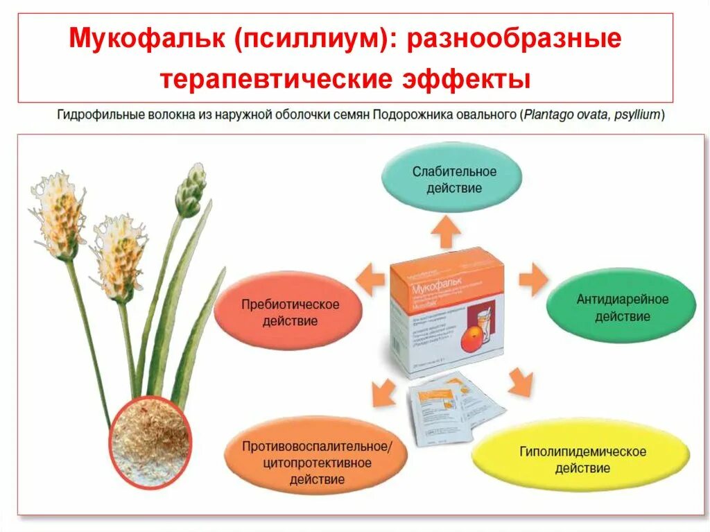 Подорожник овальный семена. Подорожника овального семян оболочка препараты. Порошок оболочек семян подорожника. Псиллиум Мукофальк. Мукофальк семена подорожника.