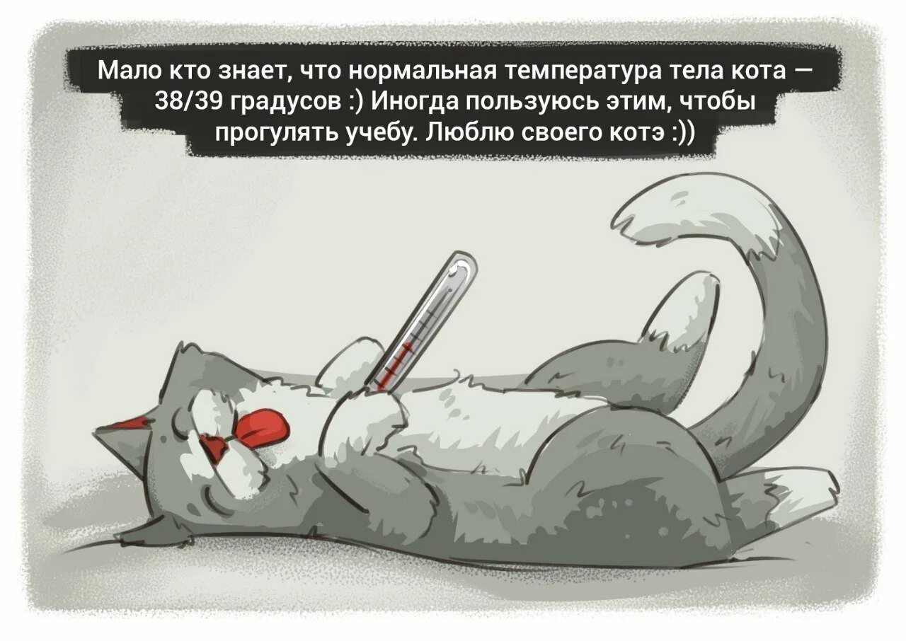 Болею каждую неделю форум