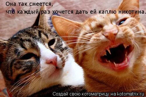 А можно так не ржать