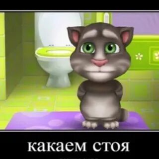 Не могу покакать