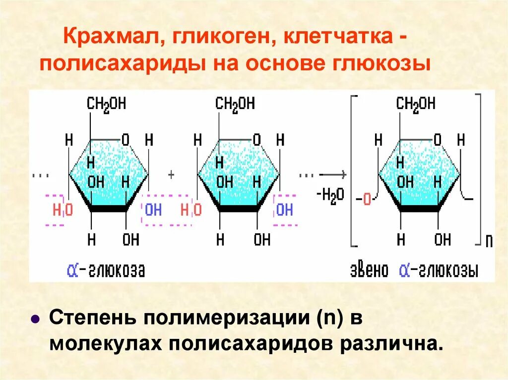 Глюкоза крахмал гликоген относятся к. Амилоза-полисахарид крахмала. образование крахмала формула. полисахариды формула крахмала. крахмал гликоген клетчатка формула.