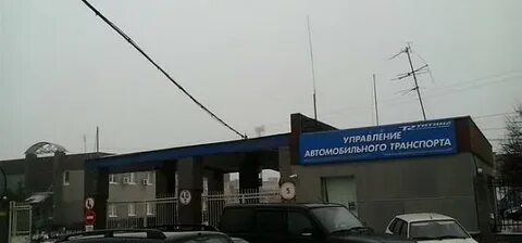 Сосновый бор копорское шоссе