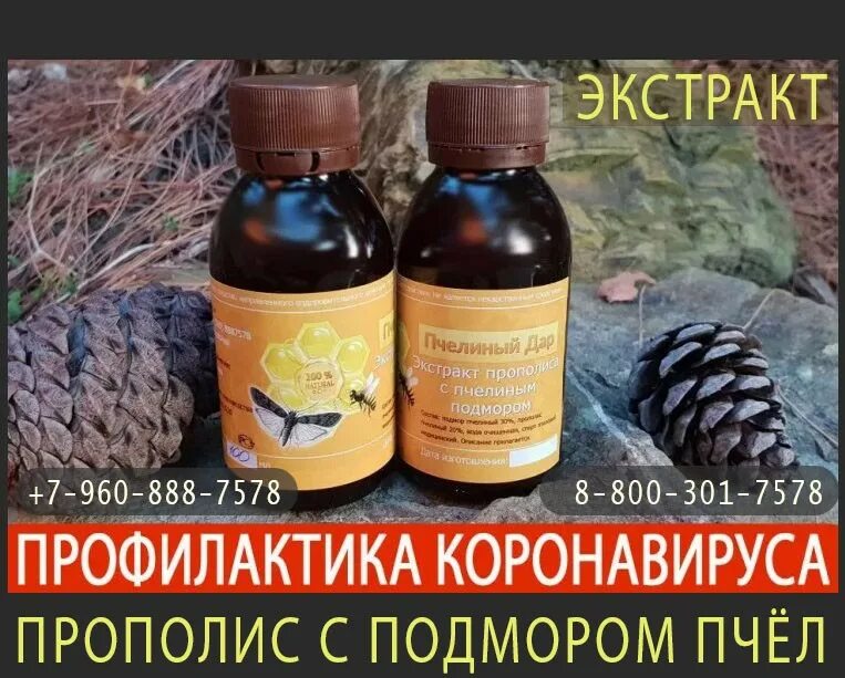 Как принимать пчелиную настойку
