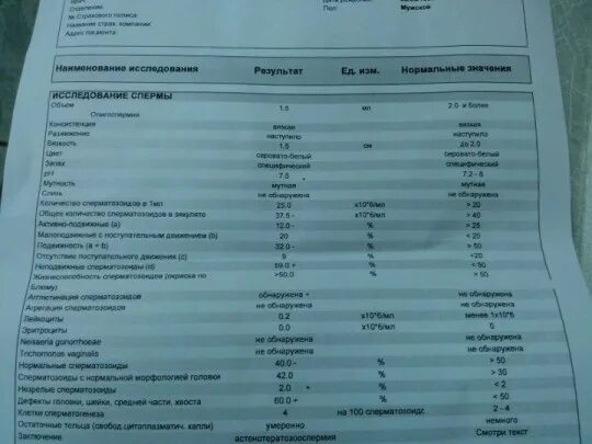 Спермограмма. Анализ у уролога для мужчин. Спермограмма после антибиотиков. Как выглядит здоровый анализ у уролога. Анализы урология мужчины