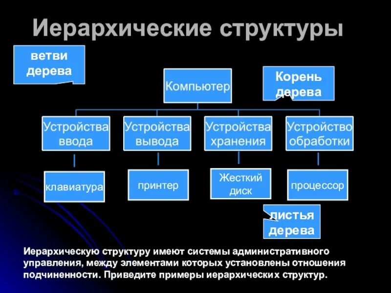 Структура иерархической системы. Структура иерархической системы