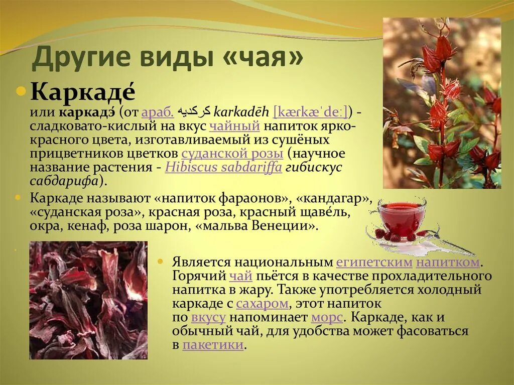 При каком давлении нужно пить чай. Чай &quot;каркаде&quot;. чай каркаде чем полезен. каркаде чай полезные. характеристика чая каркаде.