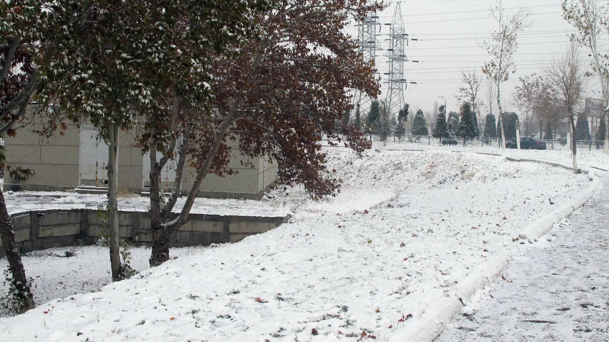 Ташкент январь. Ташкент зимой. Зима в Ташкенте. Снег в Узбекистане. Снег в Фергане.