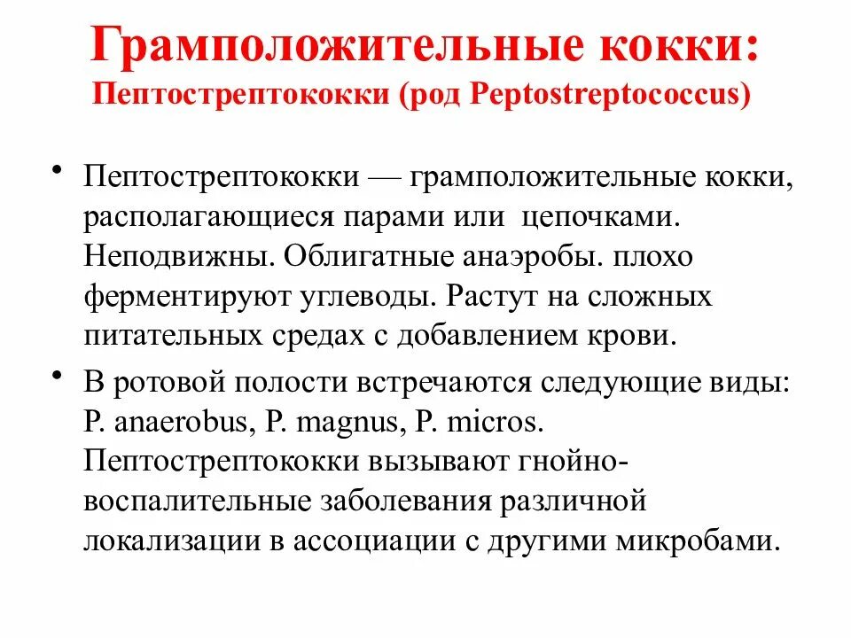 Пептострептококки питательные среды. Пептострептококки заболевания. Пептострептококки в полости рта. Пептострептококки таксономия.