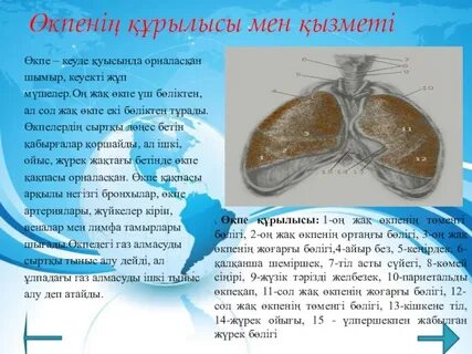 Маклакова секс видео