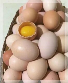 Колосовка доска объявлений продам яйцо