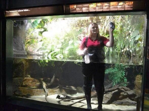 женщина в аквариуме. фотосессия с аквариумом. женщина в аквариуме. девушка в аквариуме. интересные аквариумы.