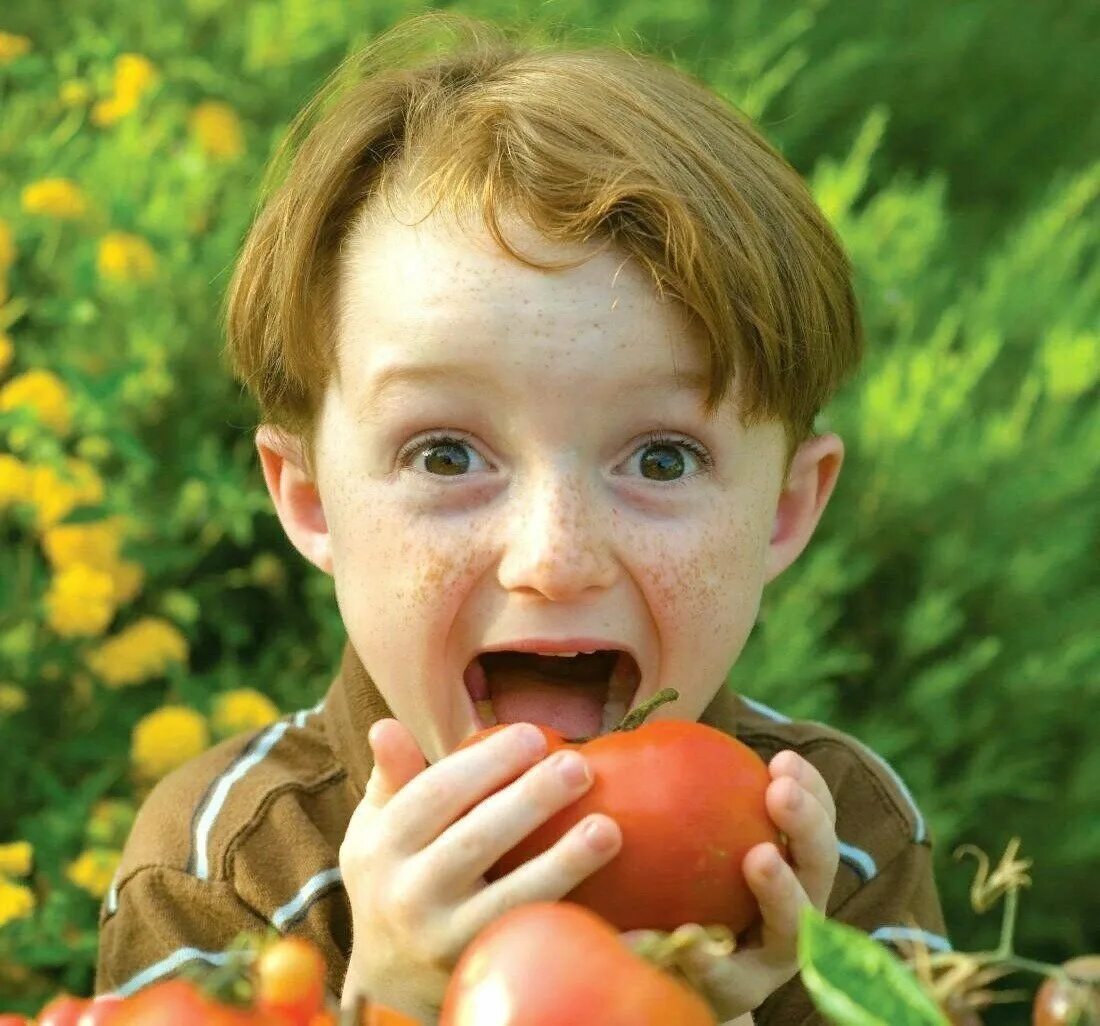 Быть овощем и жить. Овощи для детей. Овощи и фрукты для детей. Немытые овощи и фрукты ребенок. Фрукты для детей.
