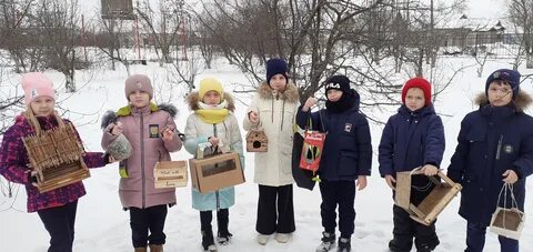 Покормите птиц зимой 2024
