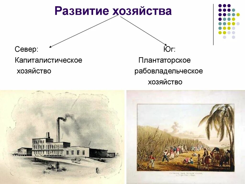 Экономическое развитие севера и юга. Юг сша в 19 веке. хозяйство юга сша. капиталистическое хозяйство.