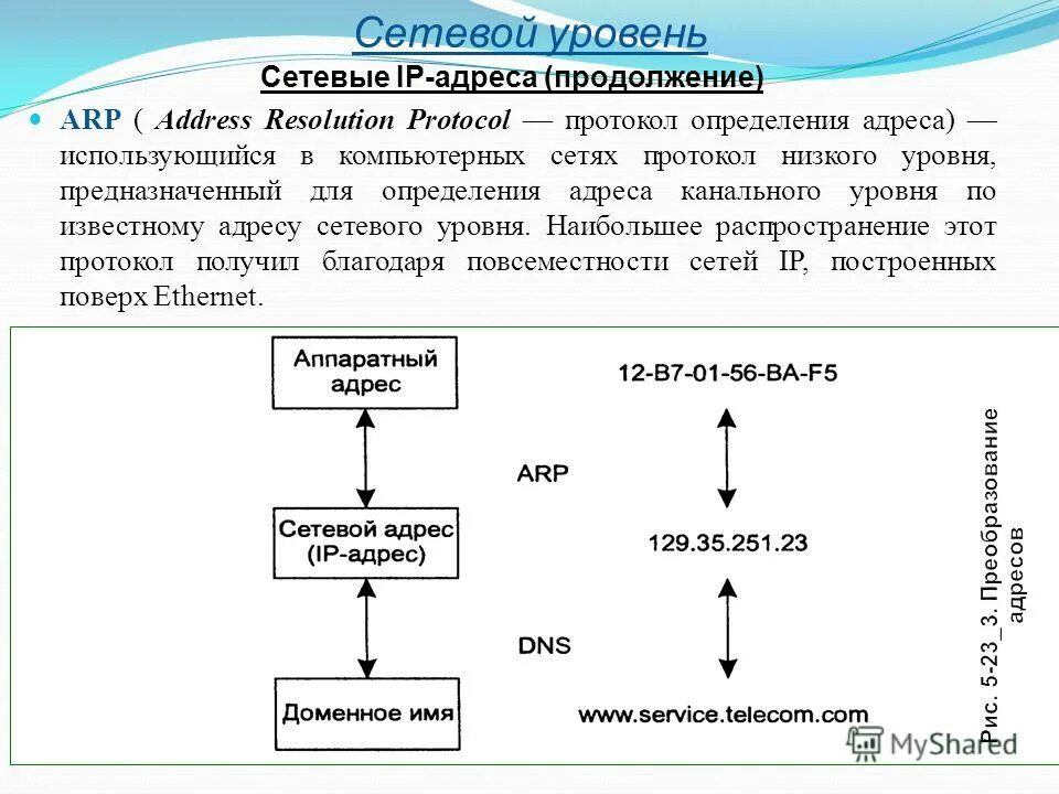 Блок данных сетевого уровня. Блок данных сетевого уровня