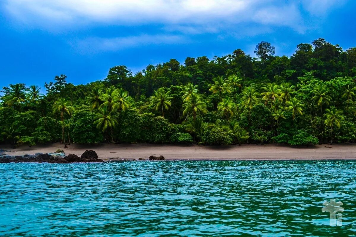 Island trip. Остров дель Каньо. Остров Кокос Коста-Рика. Заповедник острова Кано. Парк Тортугеро Коста Рика.
