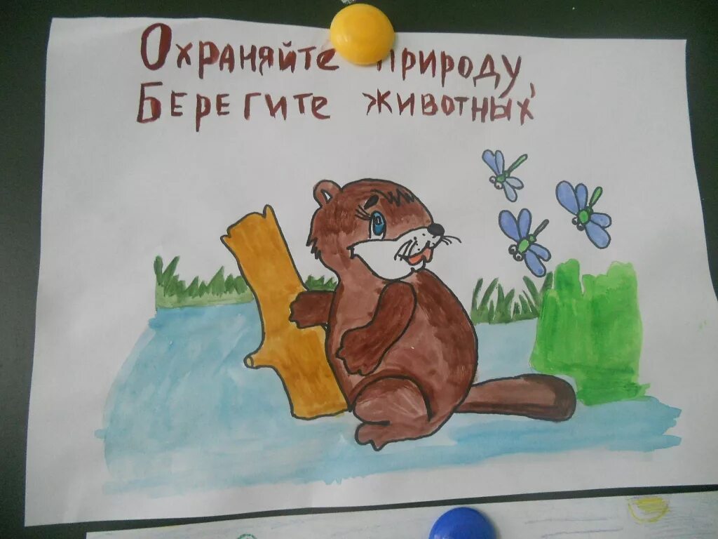 Плакат берегите животных 3 класс рисунок карандашом