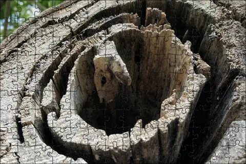 Hole log