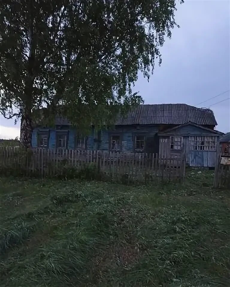 Щучьи пески воронежская. Село щучье воронежская область эртильский. Борщевские пески. Схп щучинские пески воронежская область. Эртиль воронежская область щучье.