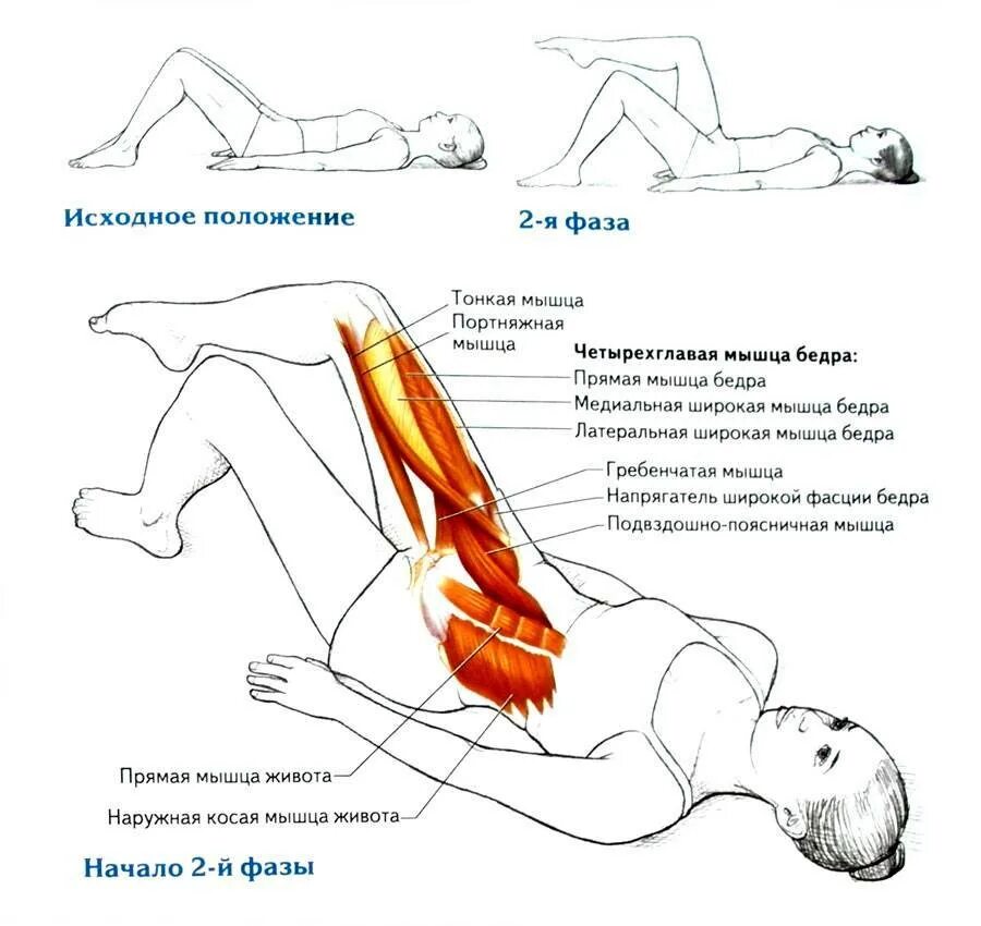Подъем лежа. Поднятие ног лежа на спине мышцы. Подъем ног лежа мышцы. Упражнения на укрепления мышцы бедра лежа. Упражнение подъём бедра мышцы.