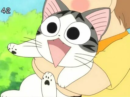 New chi