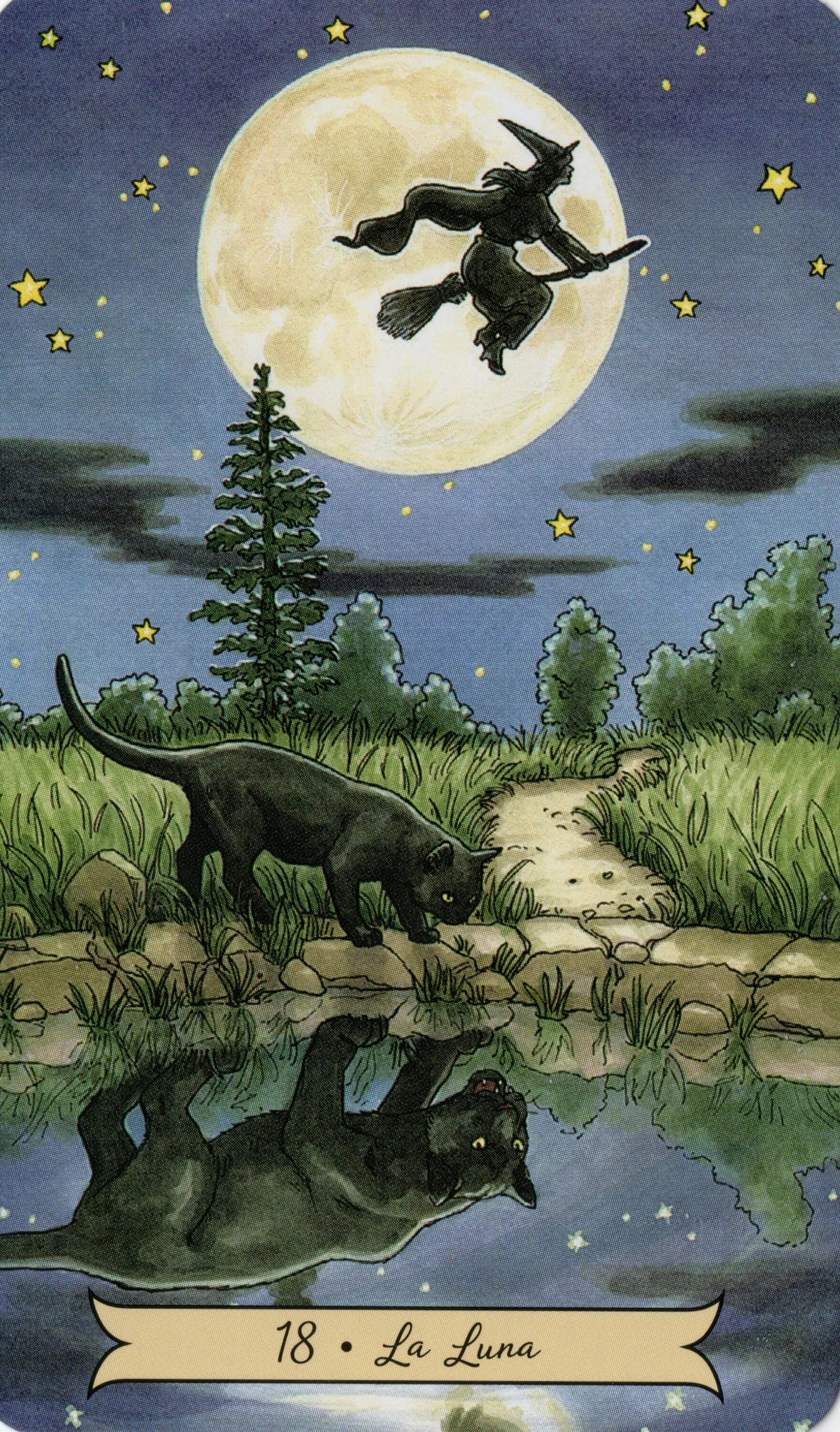 18 карта таро. Everyday witch tarot. таро ведьм луны. таро everyday witch. everyday witch tarot луна.