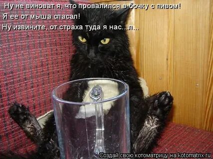 Пока не выпьешь